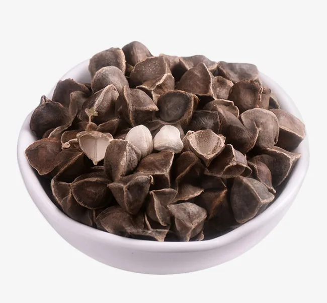 
India organic natural dried moringa seed 