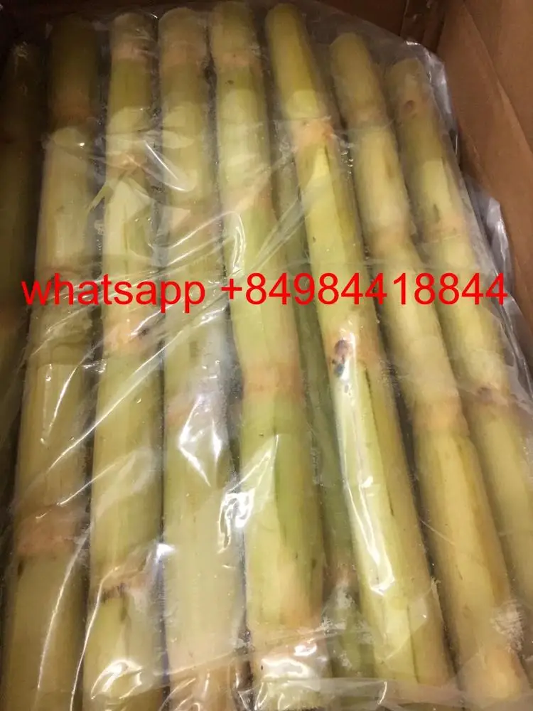 Frozen SUGARCANE FOR JUICE , contact  +84984418844  whatsapp