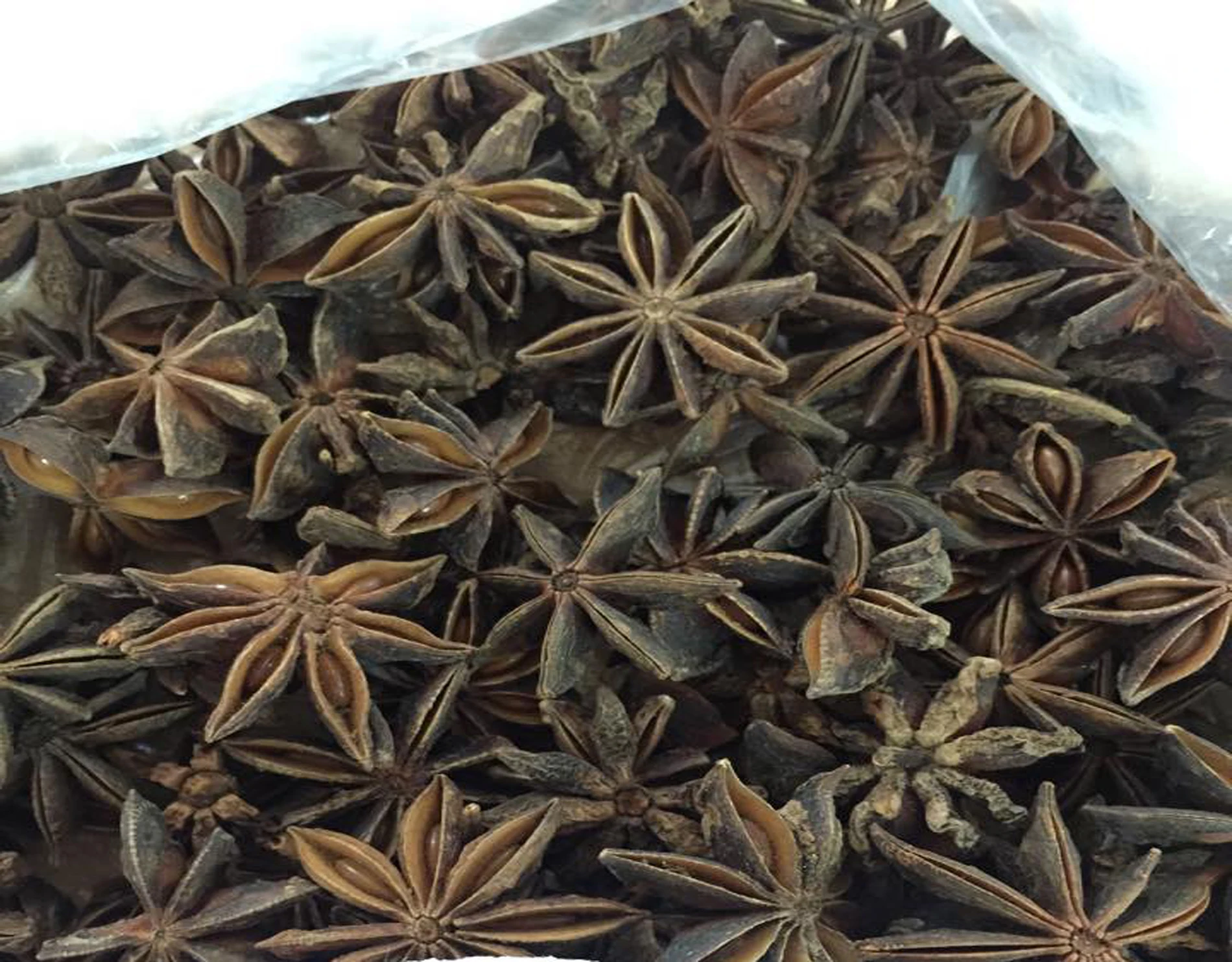 Осенний урожай звездного аниса