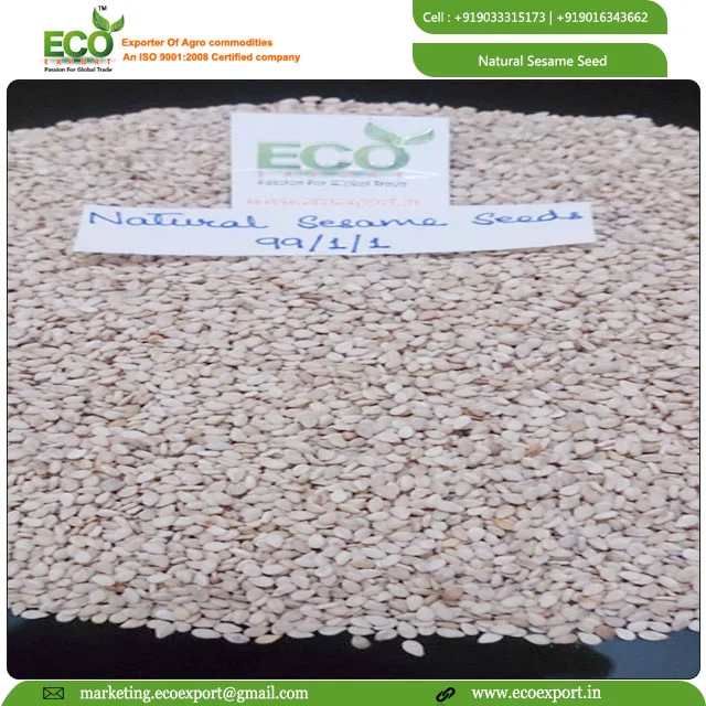 Fresh and Natural White Sesame New Crop Organic White Seed At Low Rate With White Sesame At India