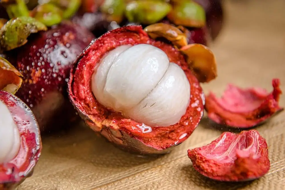 FRESH MANGOSTEEN FRUIT SALE WITH HIGH QUALITY AND BEST PRICE 2021