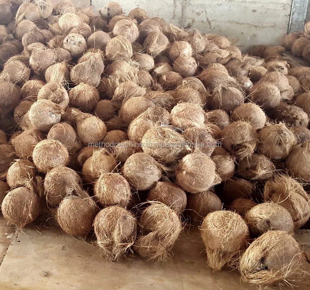 
Fresh Dehusked Coconuts 