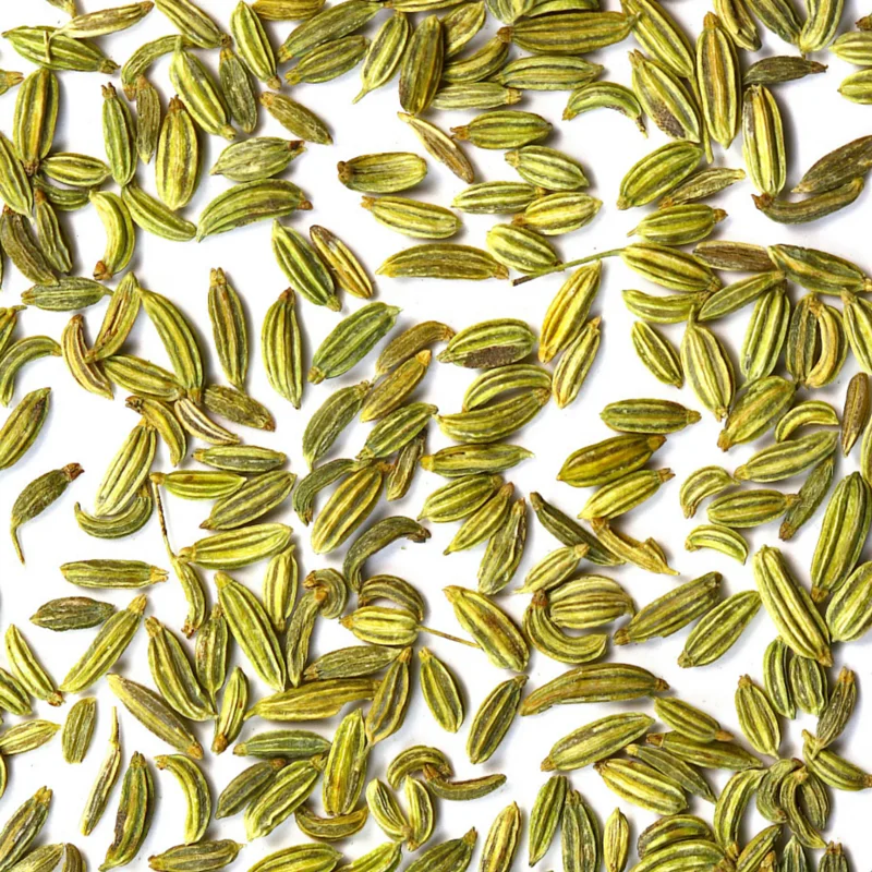 Fennel Seed - (Large)
