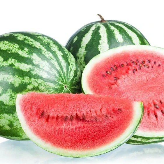 
Fresh Watermelon wholesale 