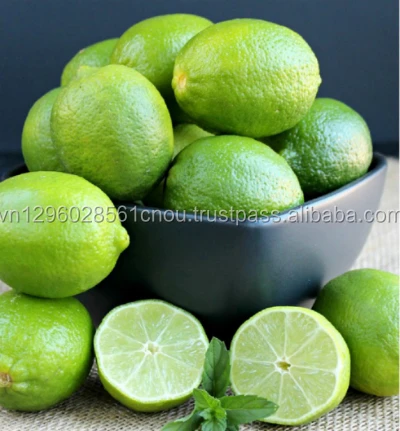 Безалковый Лайм-Вьетнам экспорт агротоваров-MS ALEX + 84
