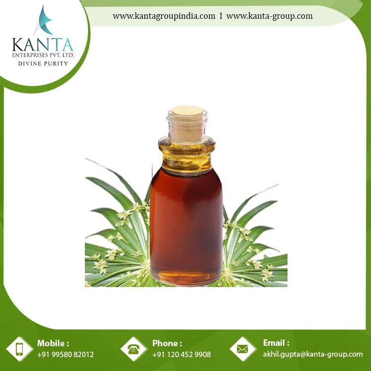 Wholesale Price Pure Cypriol Essential Oil used in the medication of skin diseases at Lowest Price