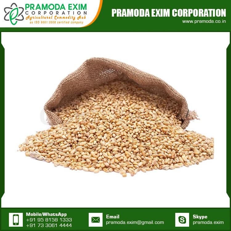 Dried Wheat Flour at Lowest Price