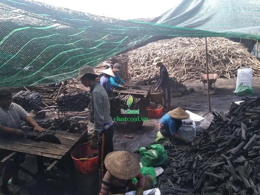 Best Selling Mangrove Charcoal for Shisha Popular in Morocco Bars