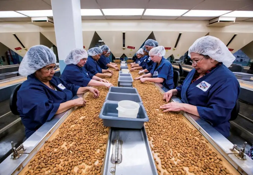 Cheap Price Wholesale Almond Nuts For Sale In bulk