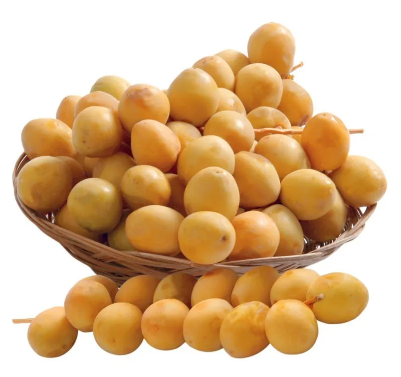 
we can supply you the fresh and best quality of Barhi Dates by the most competitive prices. 