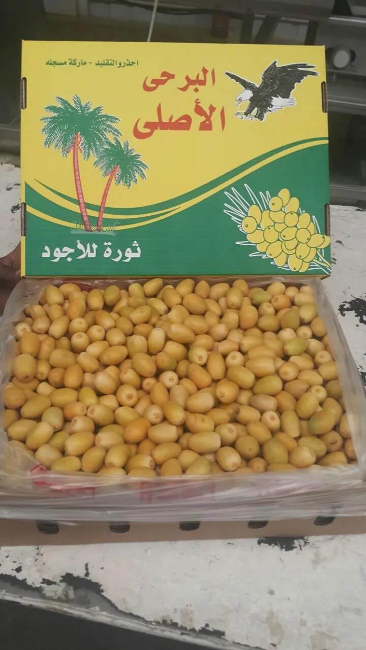 
yet only four varieties were found to have significant health benefits: yellow Barhi, Deri, Medjool and Halawi. 