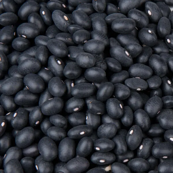 Quality Kidney Black Beans for sale
