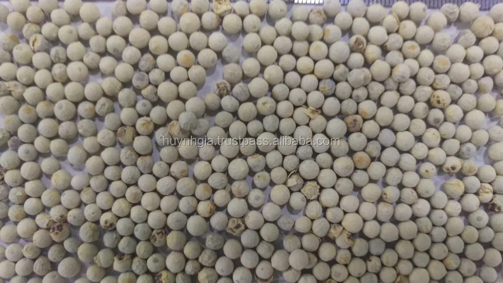 High Quality Good Price Spices And Ingredients Vacuum Packed Vietnam White Pepper Whole For Cooking And Culinary