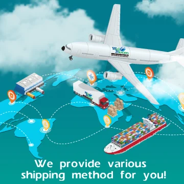 Body Wellness Anti-Air Pollution Broccoli Essence Vitamin C Supplement