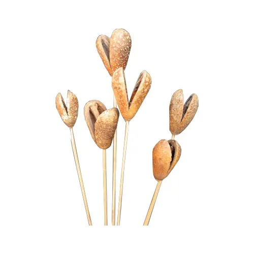 Low Price Customized Design Natural Plant Material Benzo Fruit Stick For Stage Decoration