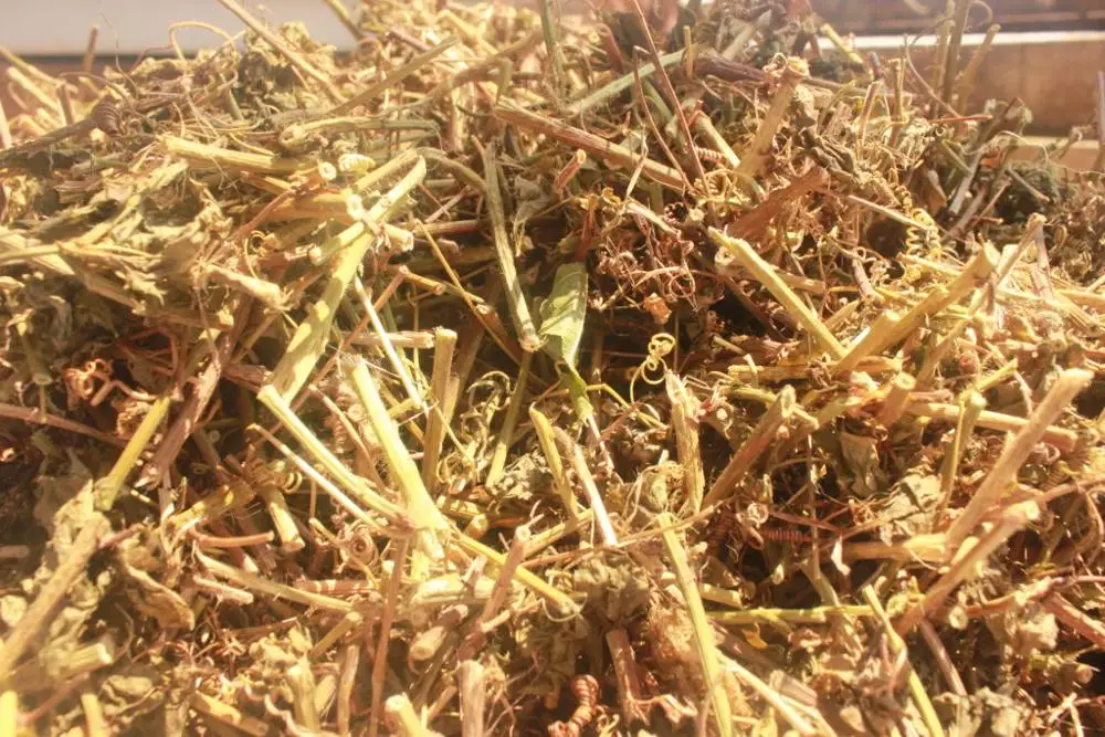 PASSIONFLOWER EXTRACT (Whatsapp: +84 845 639 639)