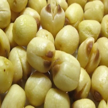 QUALITY LOBTUS SEED FOR SALE