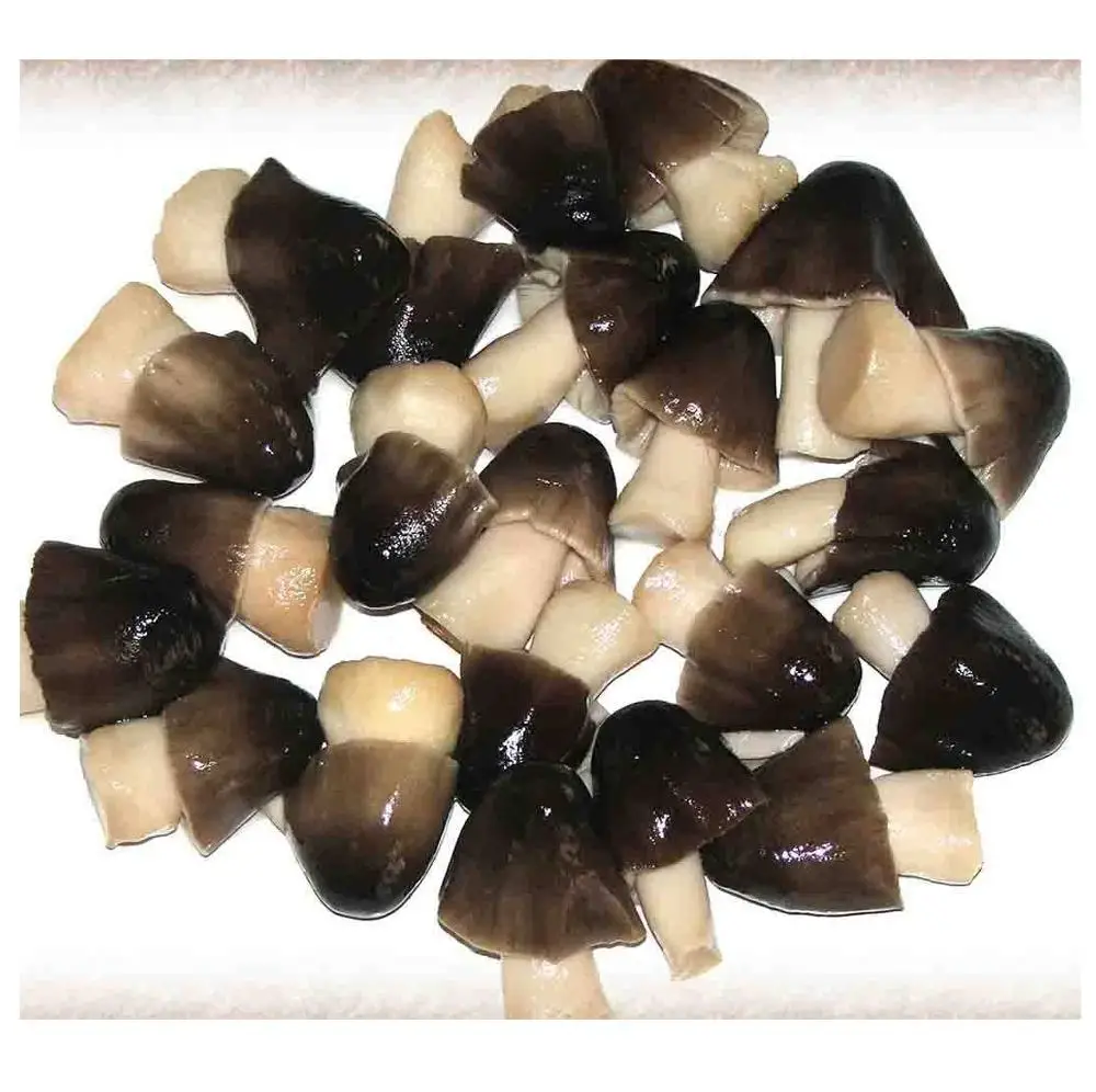 
SALTED PADDY STRAW MUSHROOM FROM VIETNAM WITH BEST PRICE // Ms.Nancy +84 377 518 917 