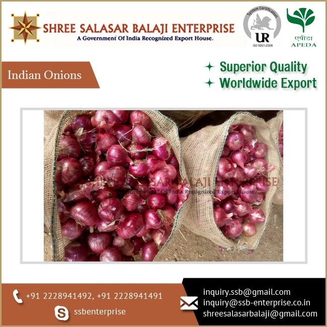 Premium Quality Bulk Selling Export Fresh Red Indian