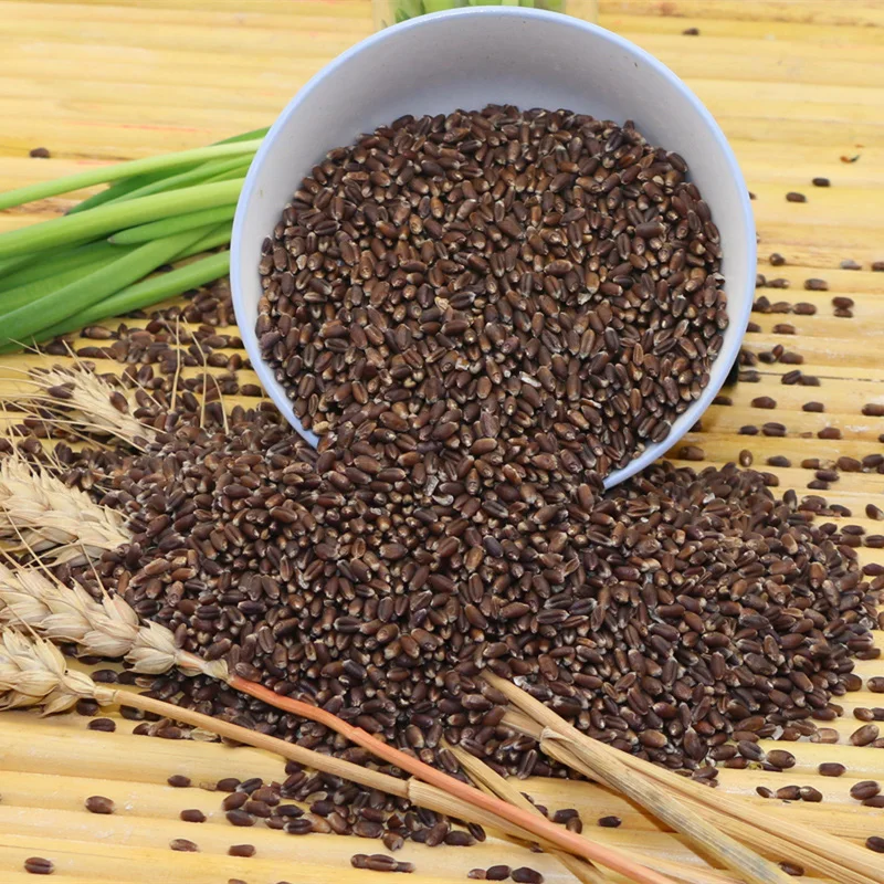 
Cheap Competitive Price Organic Rye / Rye Flour for sale,, 