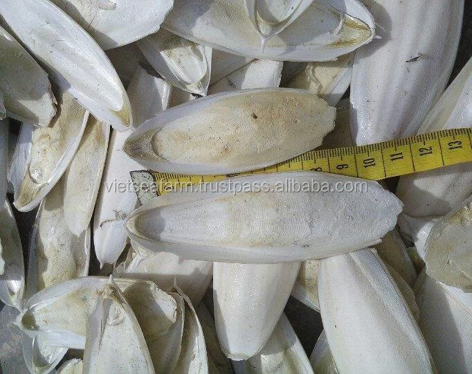 
Bulk CuttleFish Bone/high quality/animal feeds 