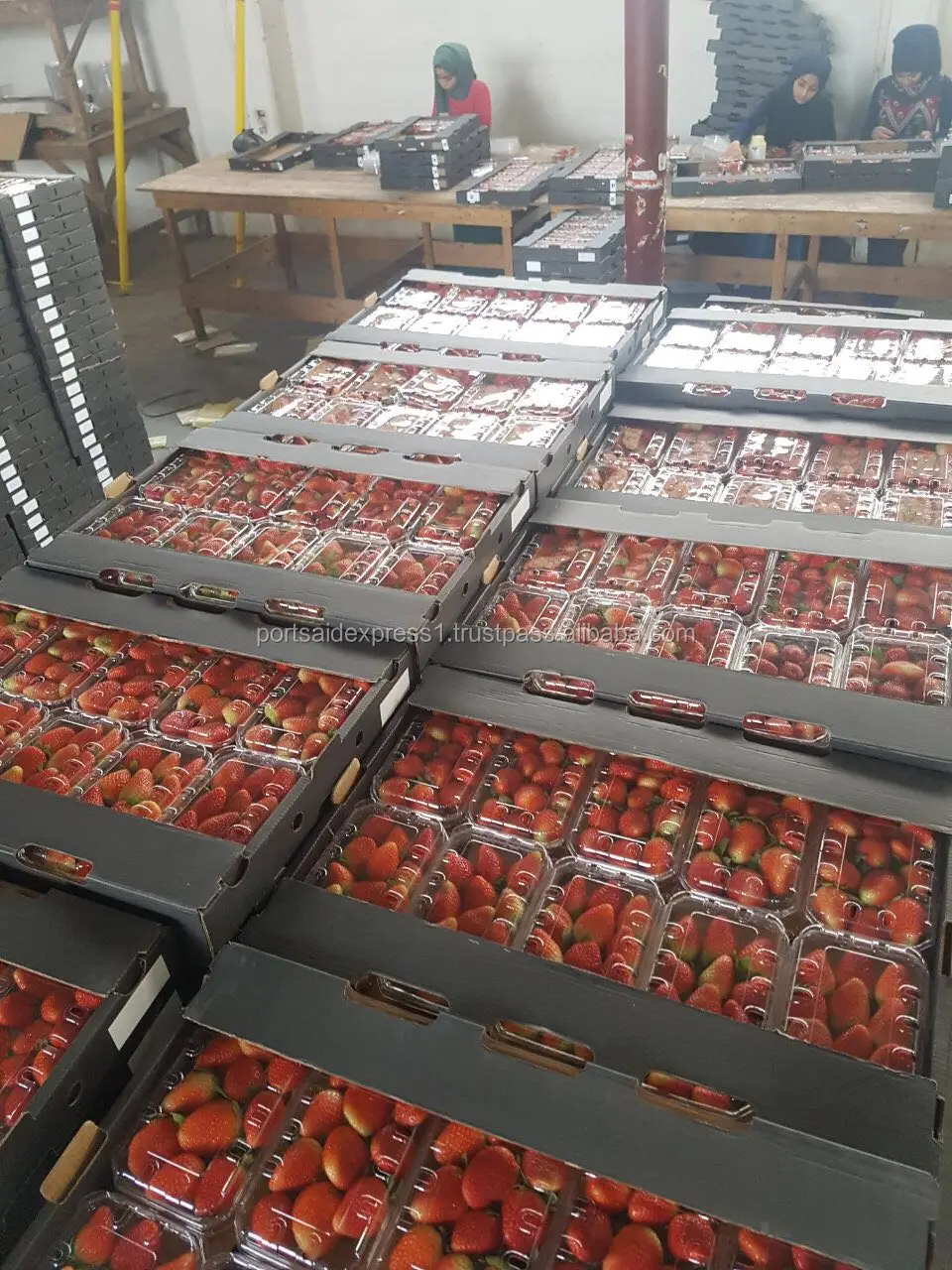fresh strawberry price 2023