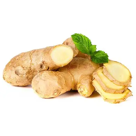 Top Quality Ginger grass oil exporter from india
