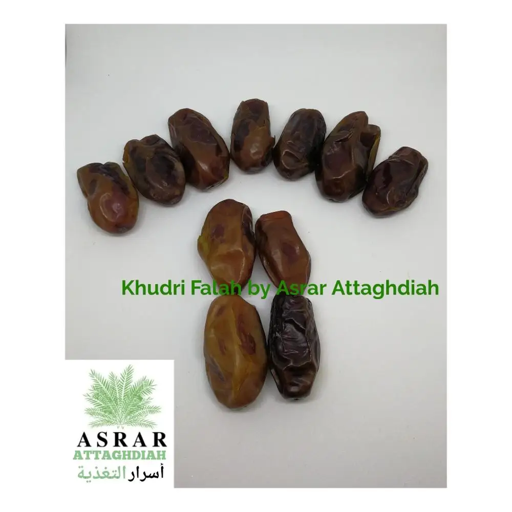 
Khudri Dates | 100% Premium Natural Saudi Dates 