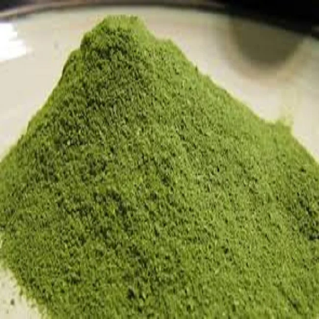 moringa oleifera powder for UTI