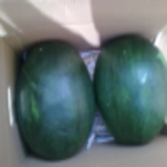  Качественный арбуз поставщик арбуза