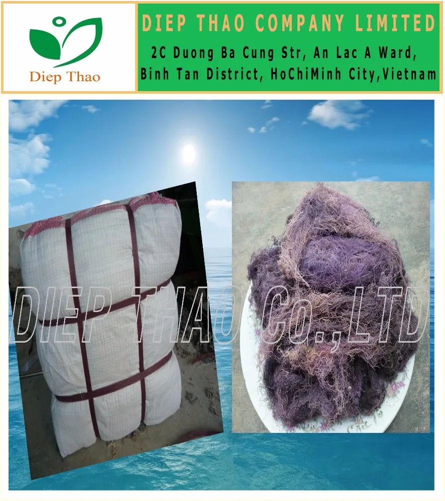 DRIED GRACILARIA VIETNAM