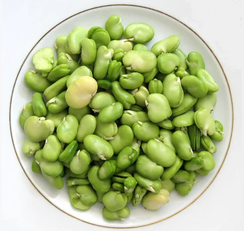
Large Lima Beans 