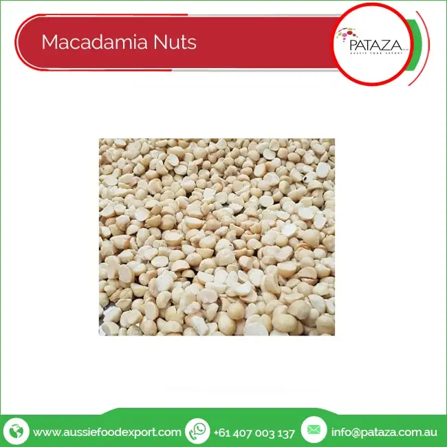 Raw Macadamia Nuts - Grown In Australia - Natural Healthy Snack and Nut -  Pure Provenance Products