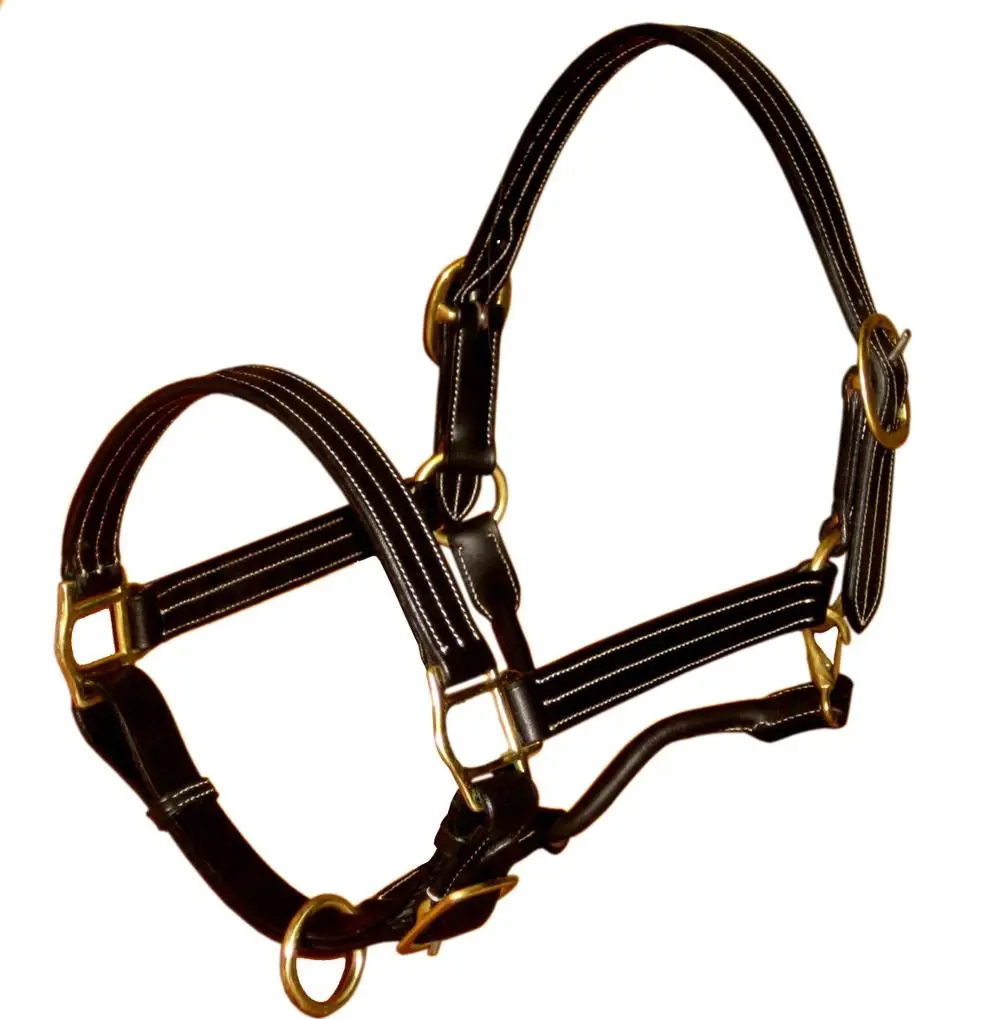 Long Lasting Fine Finish Leather Horse Halter Manufacturer