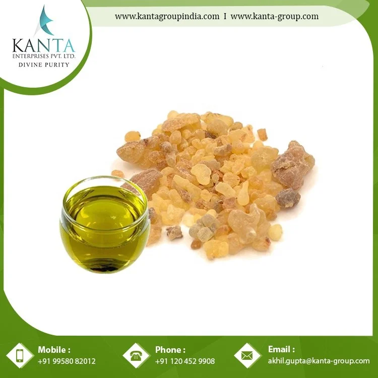 Standard Quality Aromatherapy Properties Frankincense Oil at Wholesale Price from Indian Supplier