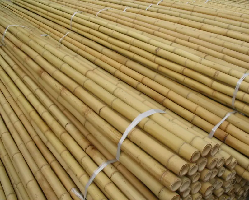 NATURAL ECO- FRIENDLY HIGH QUALITY BAMBOO POLES + Whatsapp +84-845-639-639