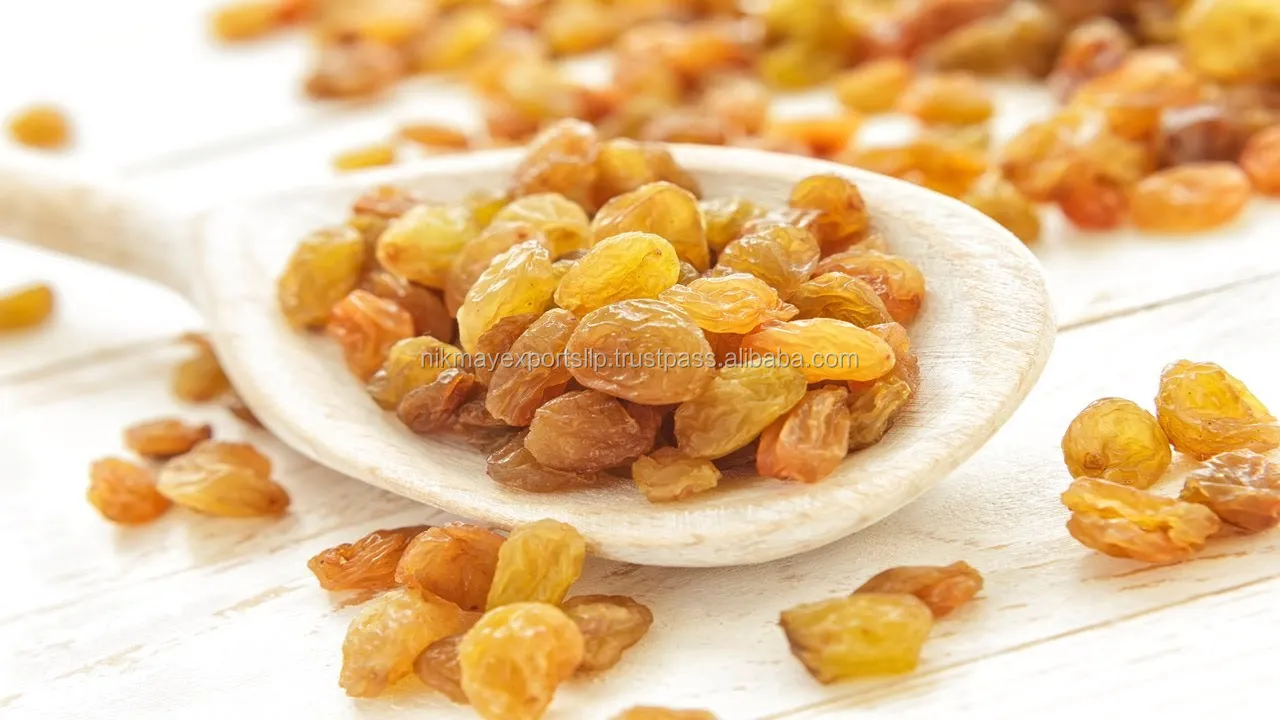 
NEW YELLOW/GOLDEN RAISIN FROM INDIA NIK-MAY EXPORTS 