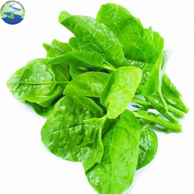 Malabar spinach vegetables (Global GAP)