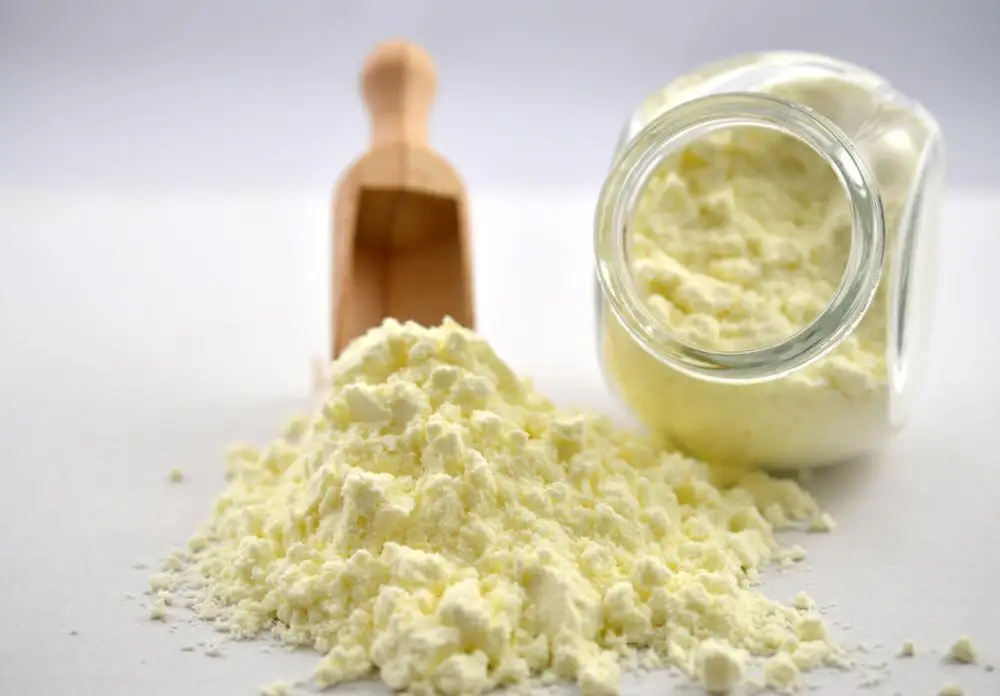 High Quality Organic whey protein bulk And 100% Whey Milk Powder From Belarus Whey Protein Powder Oem