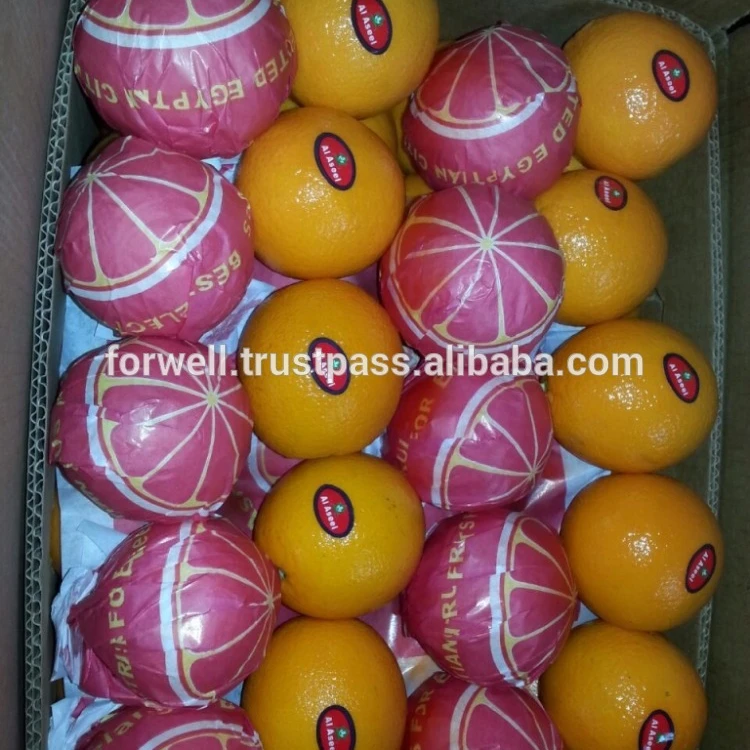 oranges carton weight 15 kg and 8 kg of Navel and Valencia Orange from Egypt