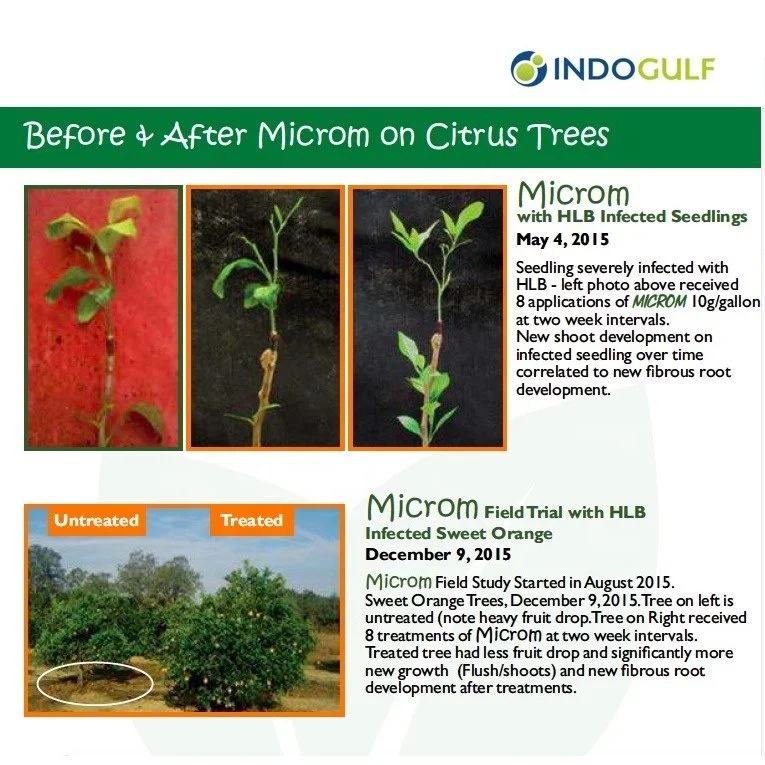 
Probiotic Soil Enhancing 15 Effective Microorganisms in Mixture of Bacterial organisms available in Private label 