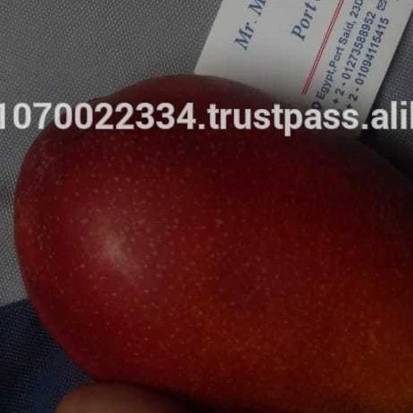 fresh mango fruit ready to export to Kenya