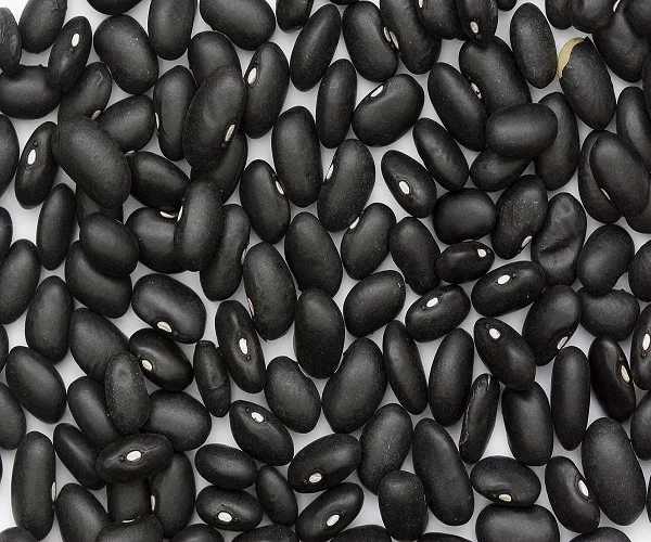 
New White / Red / Black Kidney Beans 