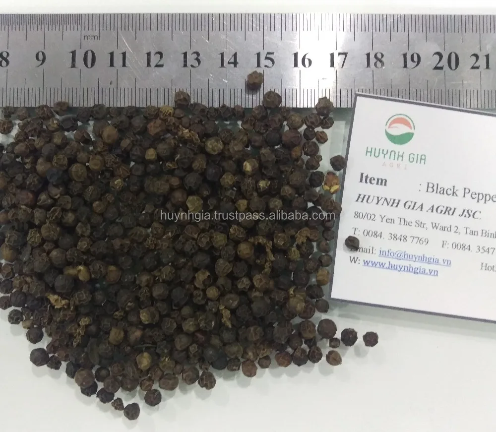 Agriculture Product Vietnam Natural Organic Whole Black Pepper 500GL/L Vacuum Packed For Spices And Seasoning