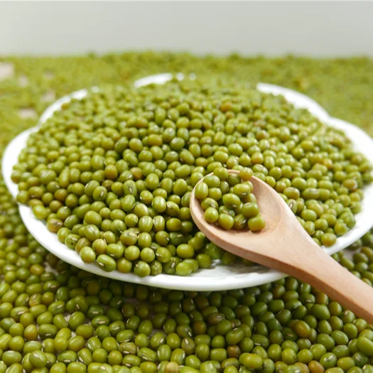 
VIETNAM GREEN MUNG BEAN 2019 