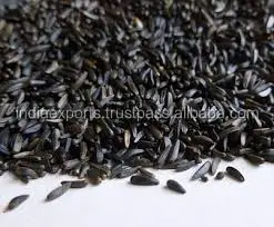 2021 Best Selling Niger Seeds