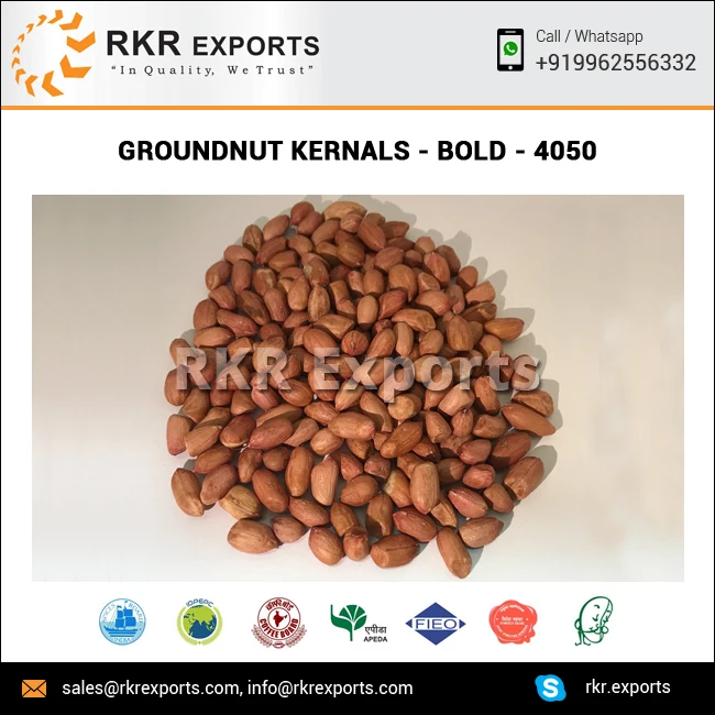 
Bold Variety Indian Peanuts at Wholesale Price 
