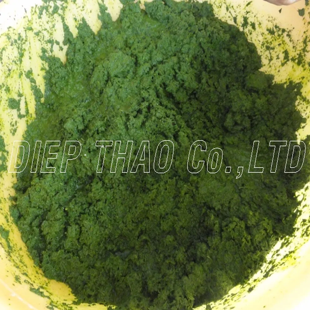 FROZEN CASSAVA LEAF VIETNAM