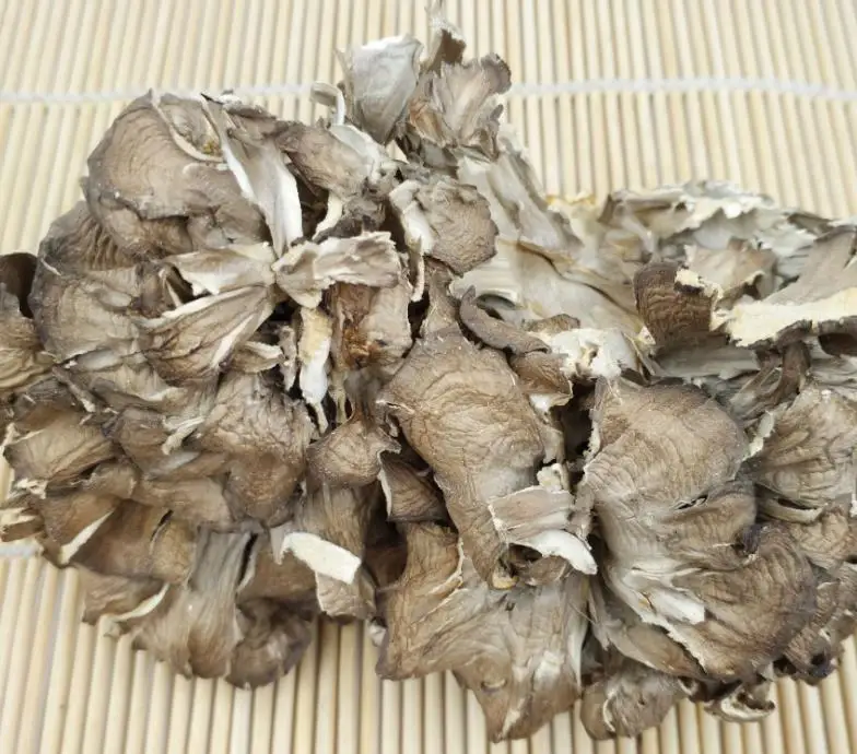 Natural dried Dancing Mushroom Grifola Hen of the Woods Shelf Fungi for food