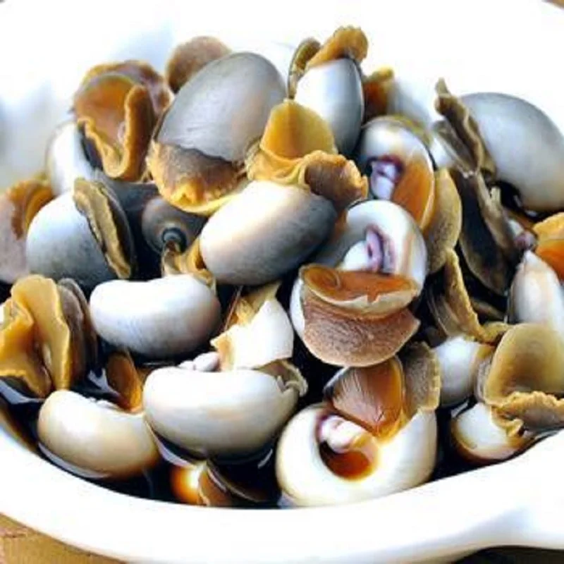 Helix snails Aspersa Muller